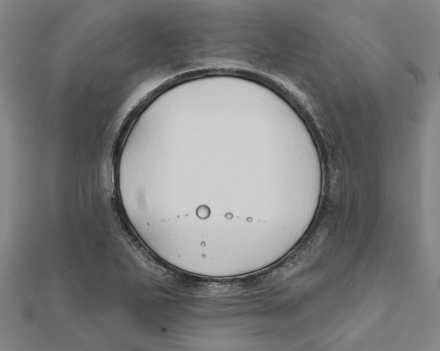 X0000111791271200908201124