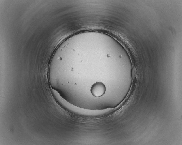 X0000111791273200908201124