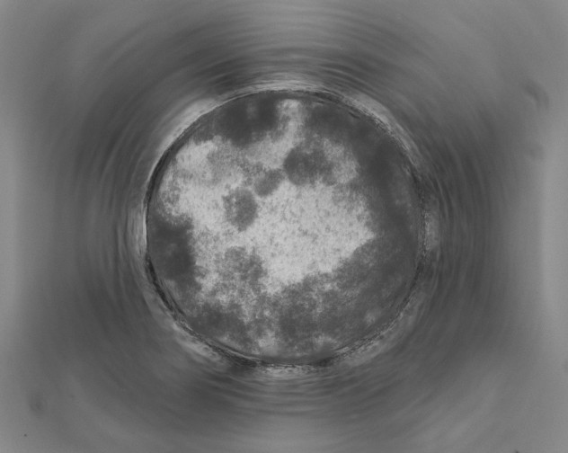 X0000111791274200908201124