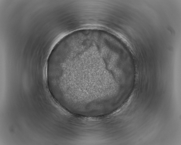 X0000111791275200908201124