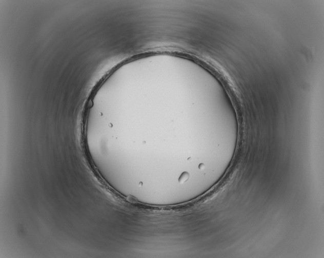 X0000111791277200908201124