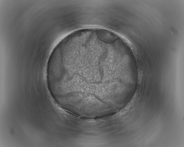 X0000111791279200908201124