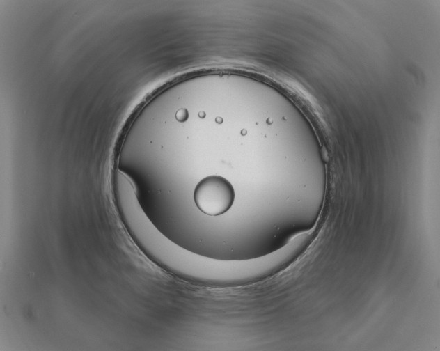 X0000111791280200908201124