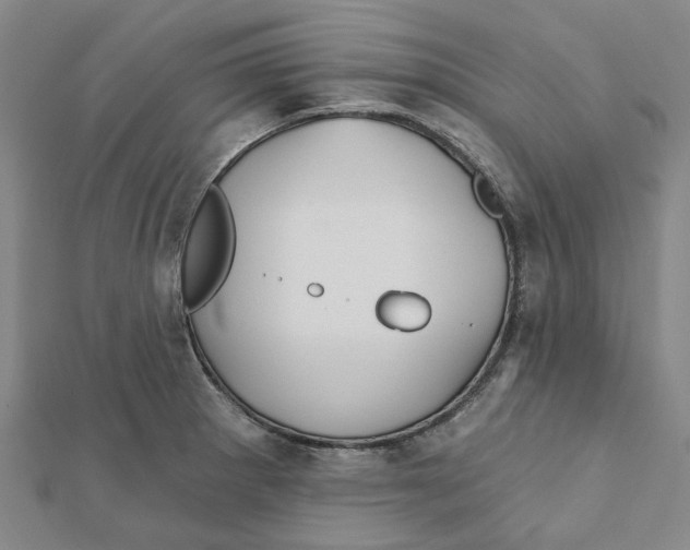 X0000111791281200908201124