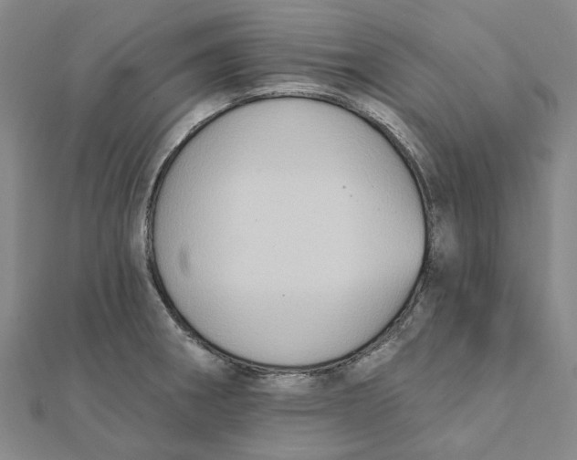 X0000111791282200908201124