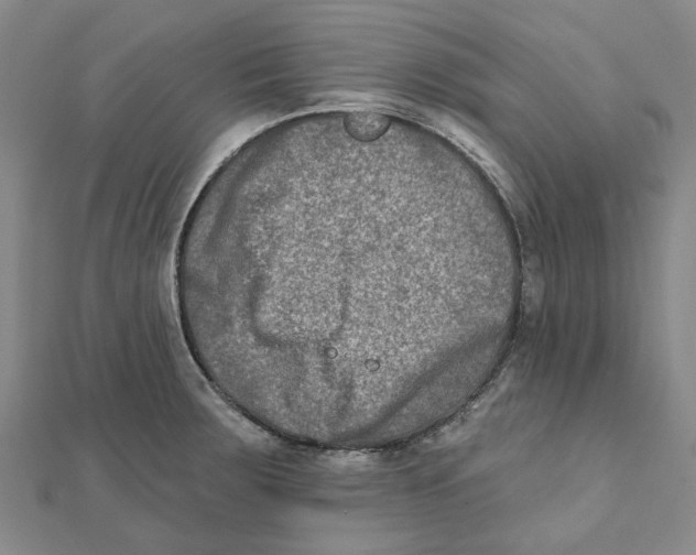 X0000111791283200908201124