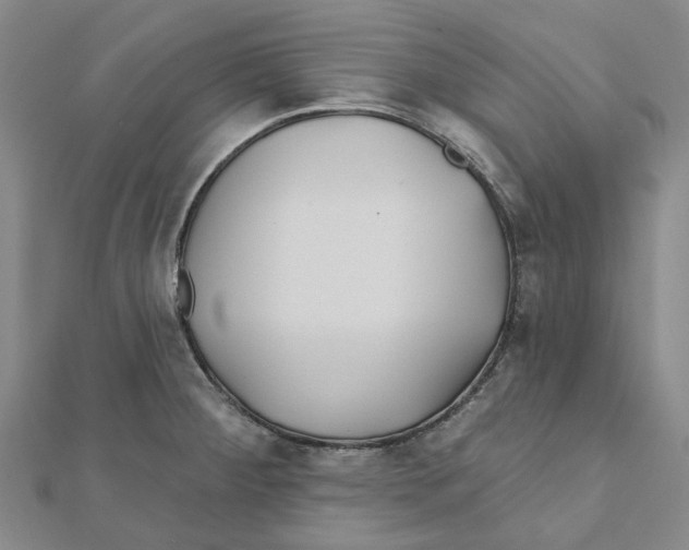 X0000111791284200908201124