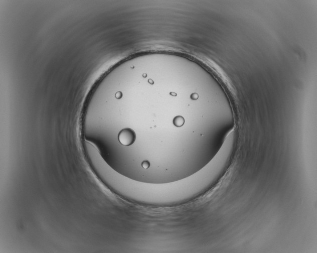 X0000111791285200908201124