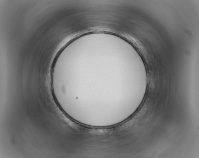 X0000111791286200908201124