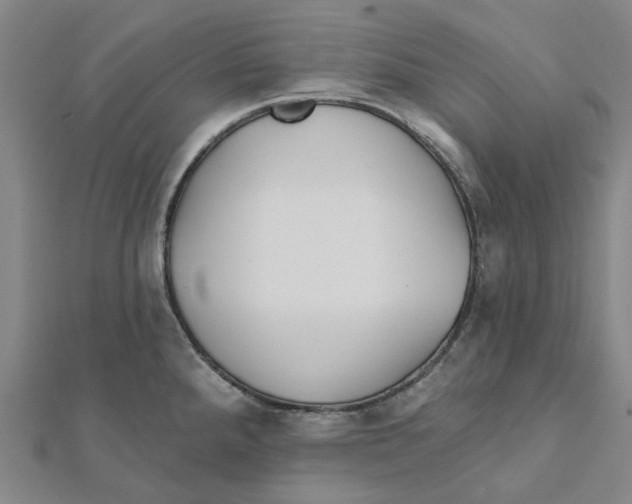 X0000111791288200908201123