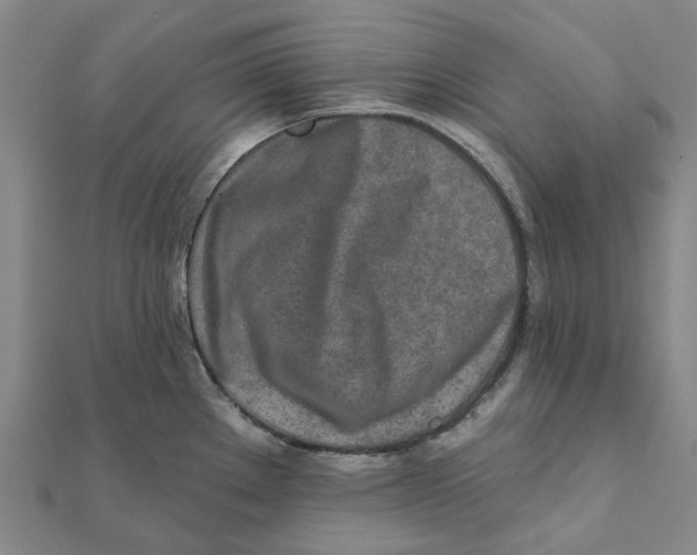 X0000111791289200908201123