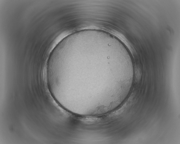 X0000111791290200908201123