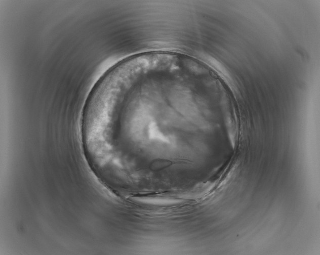 X0000111791291200908201123