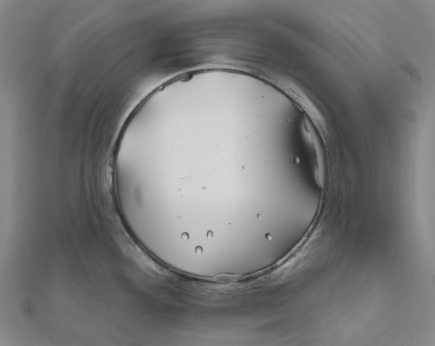 X0000111791292200908201123