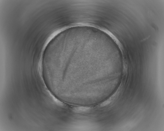 X0000111791294200908201123