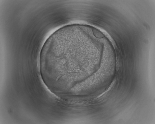 X0000111791295200908201123