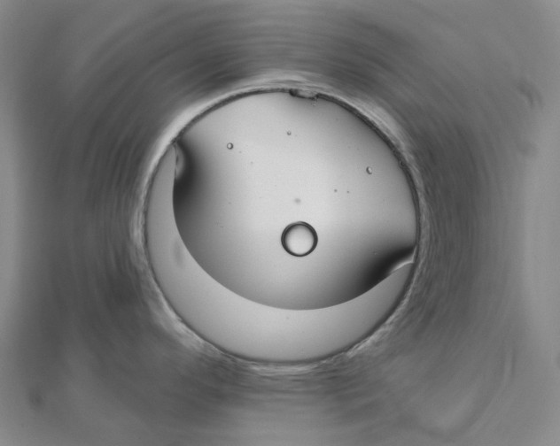 X0000111791296200908201123