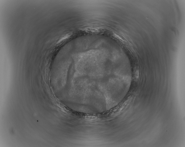 X0000111791297200908201123