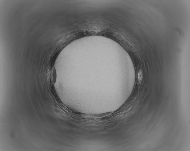 X0000111791299200908201123