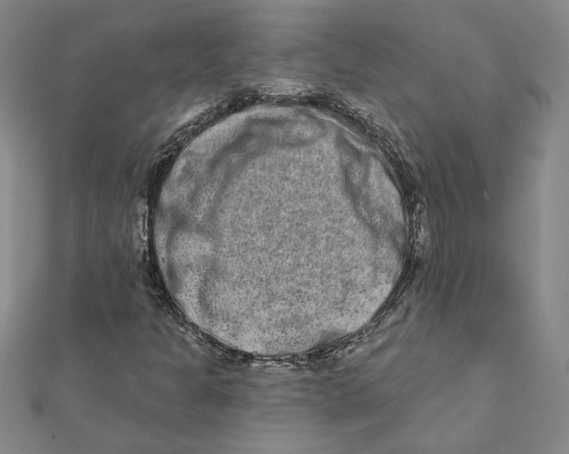 X0000111791301200908201123