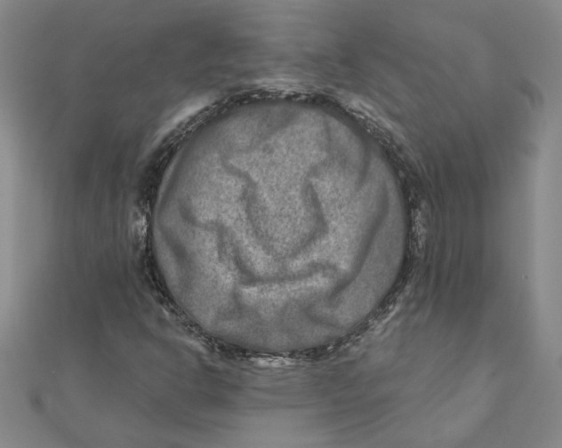 X0000111791302200908201123