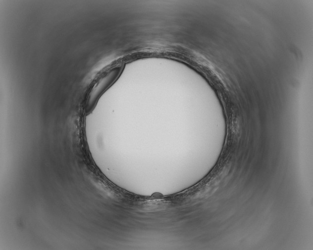 X0000111791304200908201123