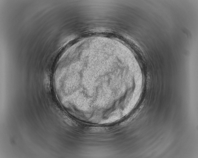 X0000111791305200908201123