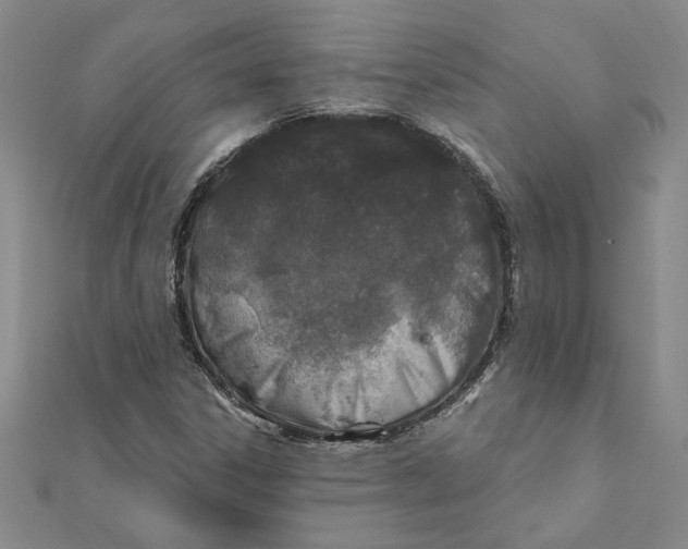 X0000111791306200908201123