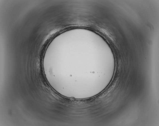 X0000111791307200908201123