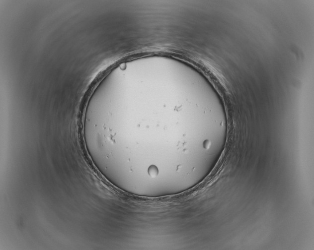 X0000111791308200908201123