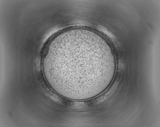 X0000111791310200908201123