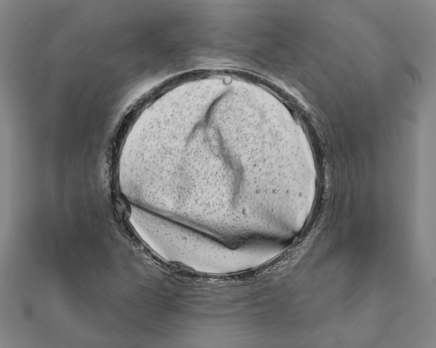 X0000111791311200908201123