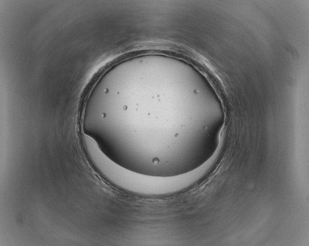 X0000111791312200908201123