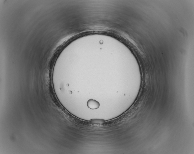 X0000111791315200908201123