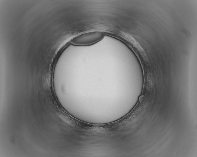 X0000111791316200908201123