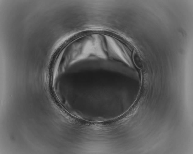 X0000111791319200908201123