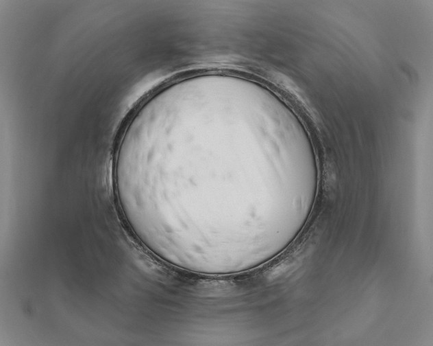 X0000111791320200908201123