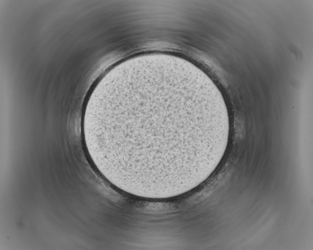 X0000111791322200908201123