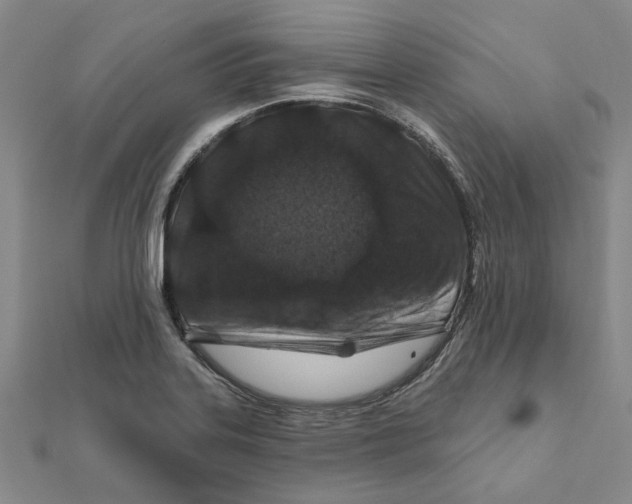 X0000111791323200908201123