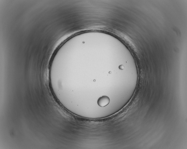 X0000111791324200908201123