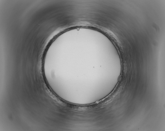 X0000111791326200908201123