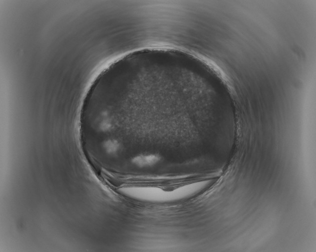 X0000111791327200908201123