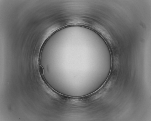 X0000111791330200908201123