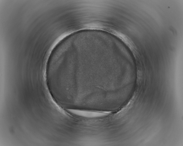 X0000111791331200908201123