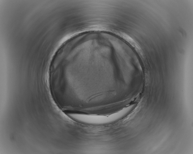 X0000111791334200908201123