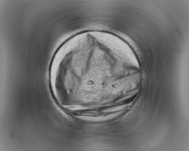 X0000111791335200908201123