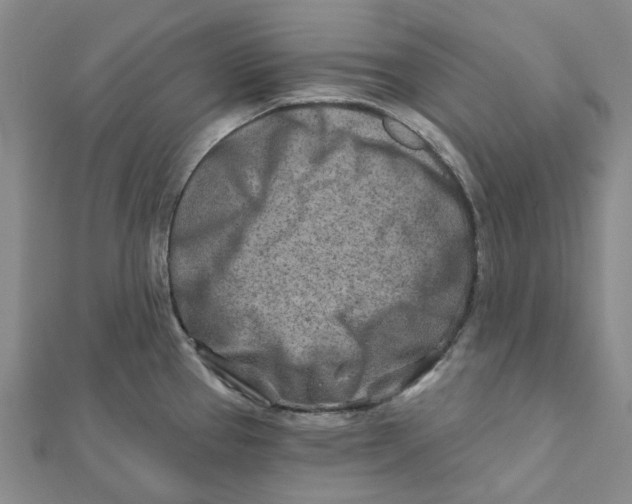 X0000111791337200908201123