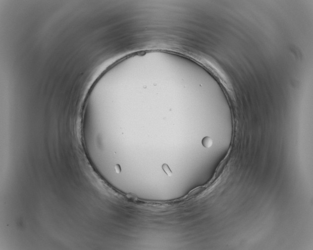 X0000111791340200908201123