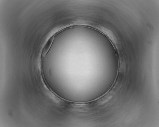 X0000111791342200908201123