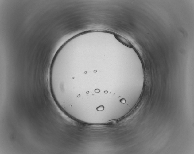 X0000111791343200908201123